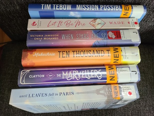Karen_IL's tweet photo. Love my public library, and can't wait to dive into these books this weekend.#204Reads https://t.co/1DcUbkK3qu