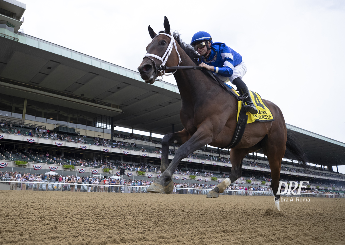 Daily Racing Form (@DailyRacingForm) / Twitter