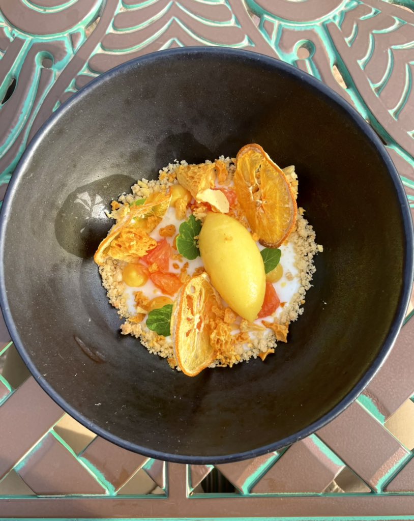 Highly recommend wine 🍷 tasting <a href="/Avondalewine/">Avondale Wine</a> in #Paarl utterly charming venue &amp; extraordinary service 
Lunch at the <a href="/FABER_AVONDALE/">FABER</a> restaurant was utterly sublime, delicious &amp; had fantastic view &amp; wine 🍷 pairing 
Go there &amp; see if my assessment is on point 
Give  ⭐️ ⭐️⭐️⭐️⭐️