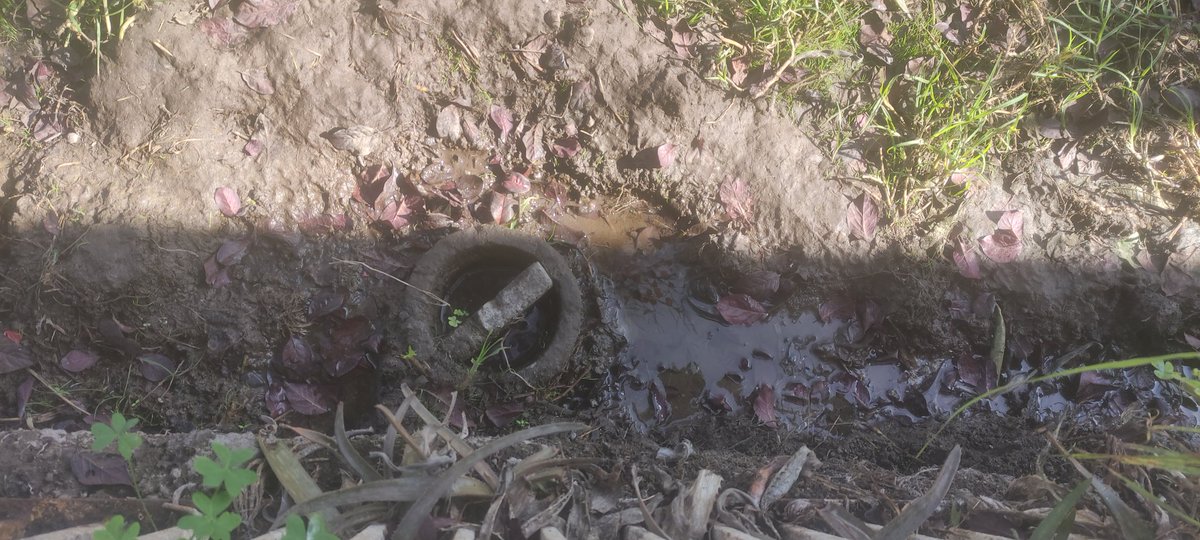 Gabrielitaccas's tweet photo. @SISS_CHILE @SMAPA_MAIPU Hace ya dos años que estamos a la espera de la reparación de la cañería de la calle que causa filtración y pérdida del suministro y tienen la cara para hacer este tipo de propaganda son demasiado inconsecuentes con su propuesta ojlass no sea de por vida está fuga. https://t.co/AkveVM0Jnf