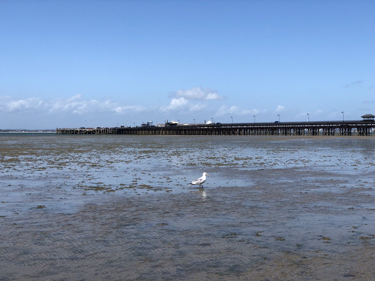 SiriusStar1963's tweet photo. Saturday wander. #Ryde #PlayerBeach #pier #Solent #PureIslandHappiness #IOW🌤 https://t.co/MReHFqSpmz