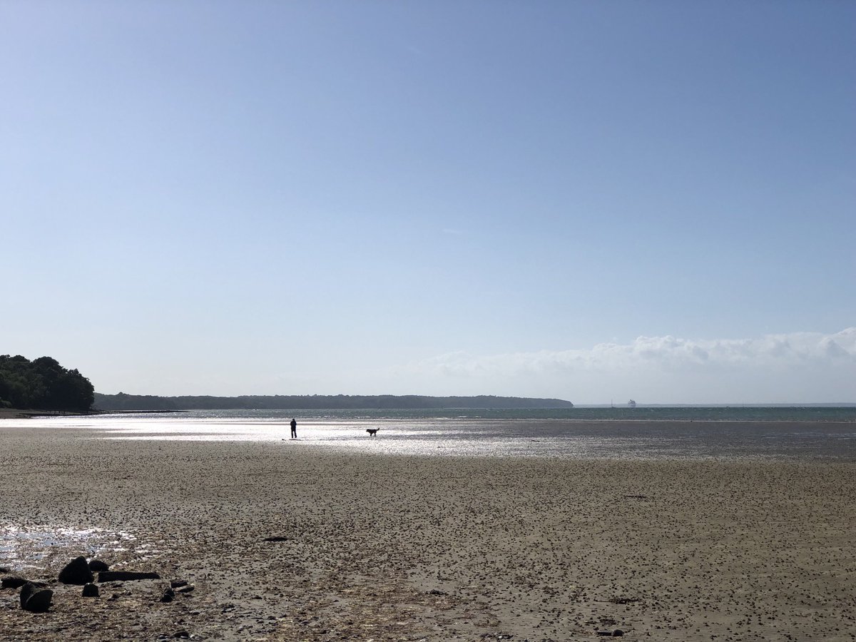 SiriusStar1963's tweet photo. Saturday wander. #Ryde #PlayerBeach #pier #Solent #PureIslandHappiness #IOW🌤 https://t.co/MReHFqSpmz
