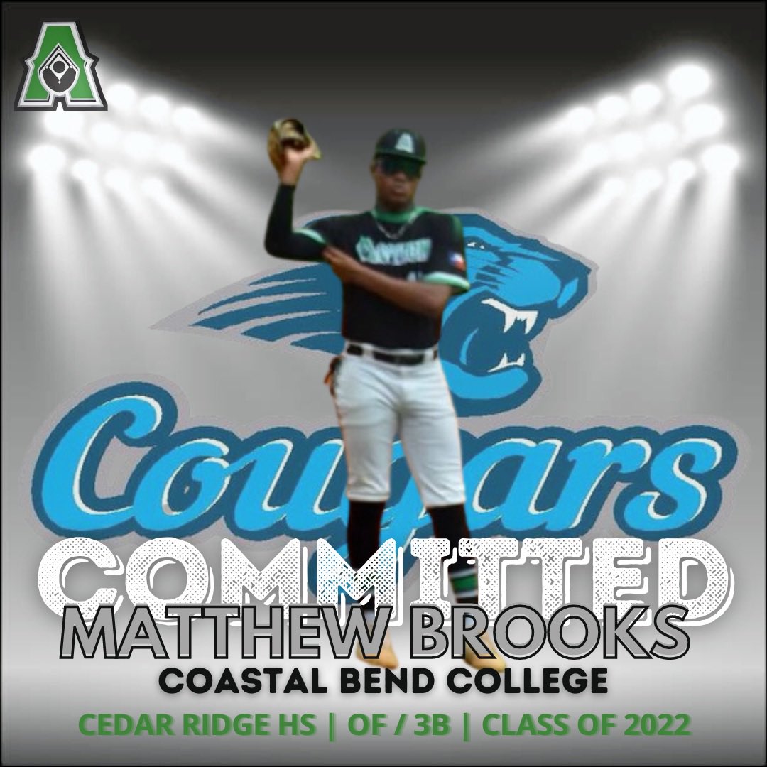 Action Baseball Club tweet media