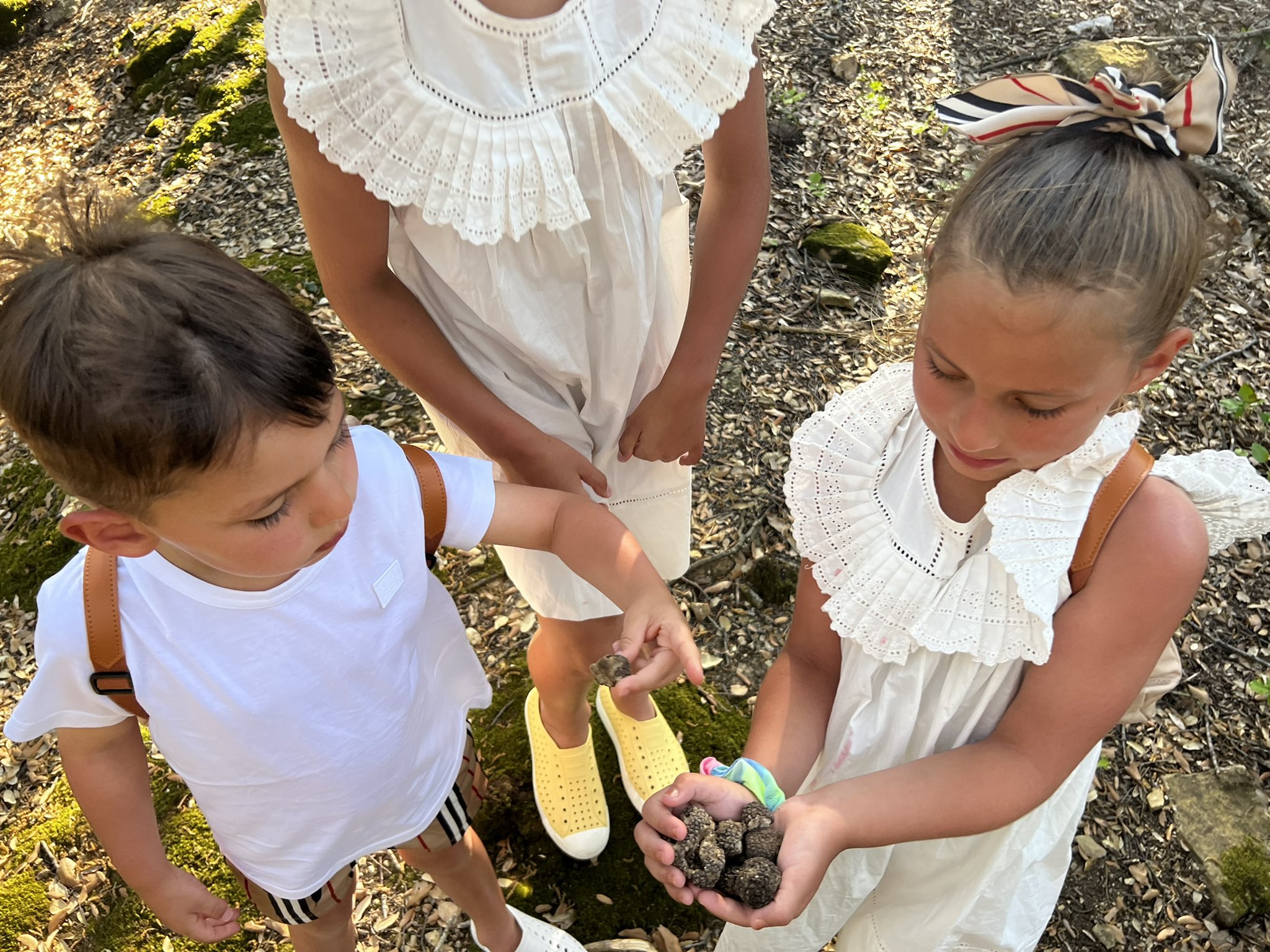Milan Lucic on Twitter "Truffle hunting in Tuscany belmond dinner