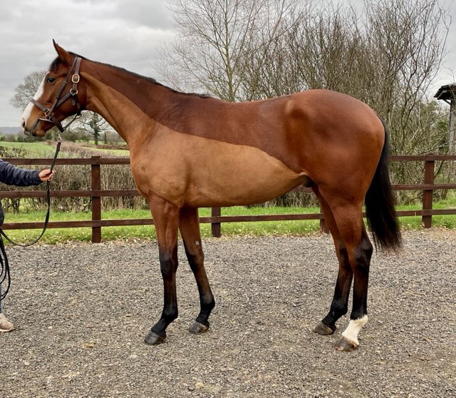 Tim Rusbridge tweet media