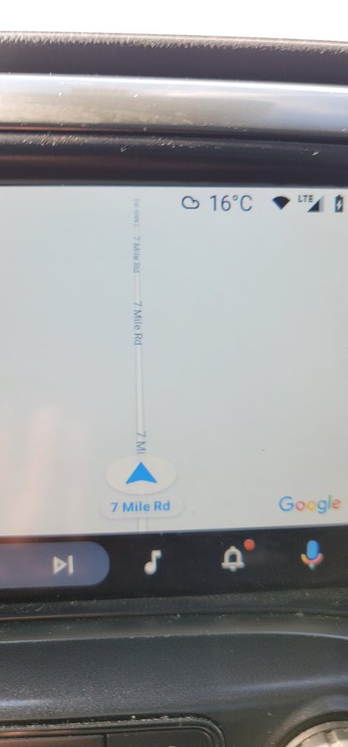 steve saddleback tweet media