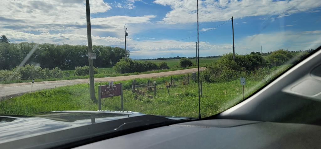 steve saddleback tweet media