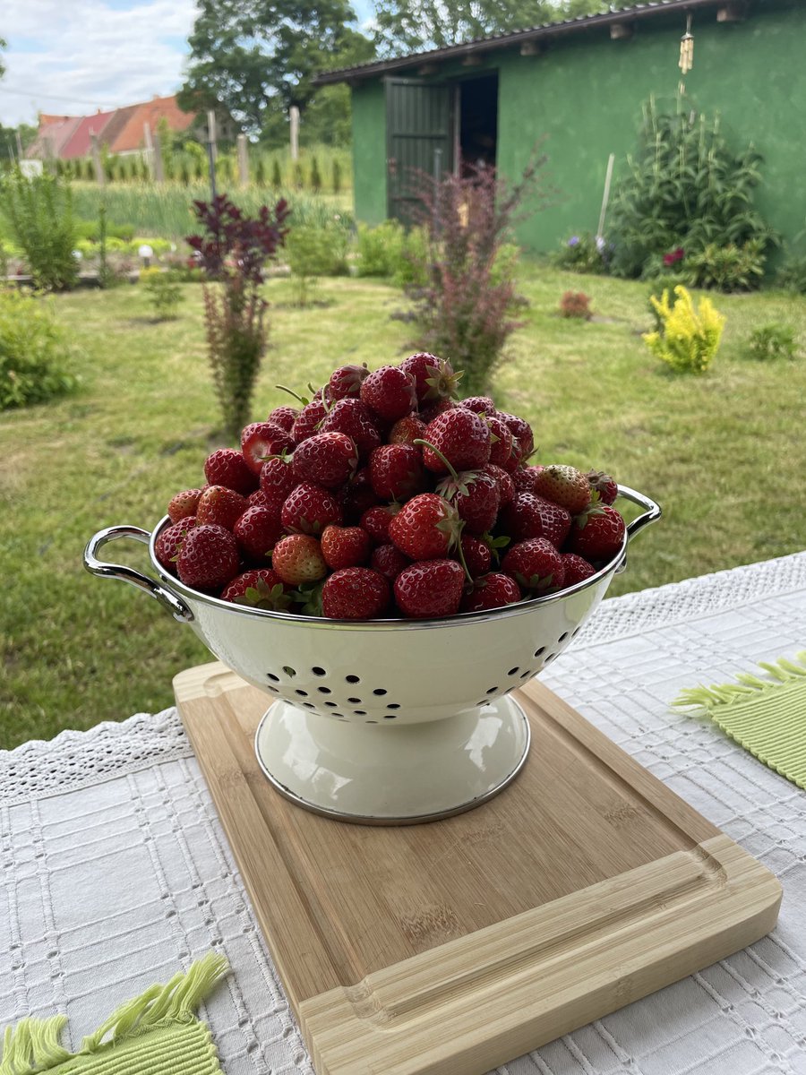 teodor_dziadek's tweet photo. #home #saturday #village #my #garden #nature  #eko #eco #strawbery #tomato #happiness #calm #tranquility #silence #summer #herbs #hard #work https://t.co/pG8VCKZ90N