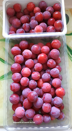 Seconde et dernière récolte de nos petites prunes. Pas de quoi faire de la confiture 🤣 mais nous avons pu enfin en manger, après deux années sans fruit.

Bonne soirée à toutes, bisous 💕

#petitesprunes #plaisir #fruitmaison #sudest #degustation