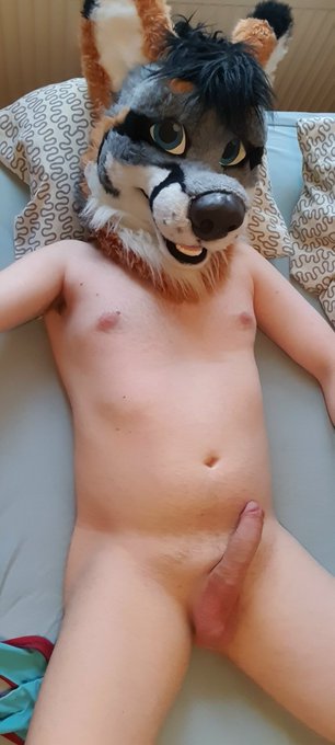 Wanna give some belly rubs? >:3 https://t.co/QYxt9VUOD3<a href="/tag/murrsuits"class="tags"><span>#murrsuits</span></a>