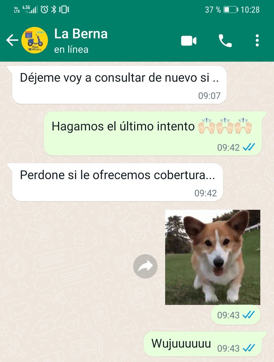 vandreadl's tweet photo. SE LOGRÓ SE LOGRÓ!!!!!! LOS TQM PARA SIEMPRE 🖤🖤🖤✨✨✨✨ #LaBerna https://t.co/affXsJO3MK