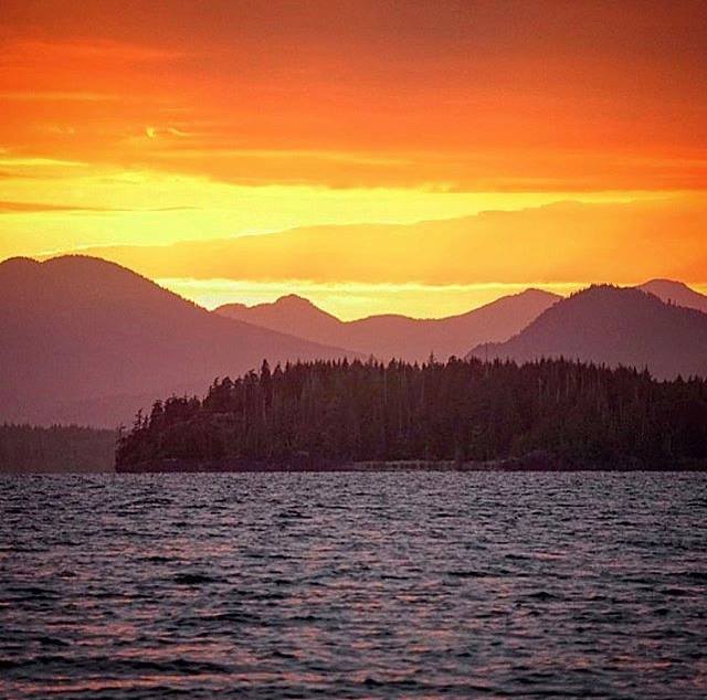 🌅 Ukee sunsets...GLORIOUS! 😍

#ucluelet #pnw #explorebc #canada #vancouverisland #outdooradventures #sunset
📷 <a href="/il/">il</a>.luminator