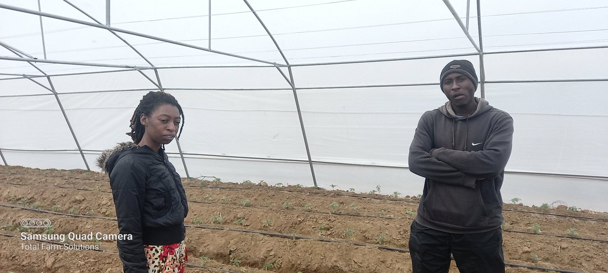 greenhousesZim's tweet photo. About our day today. 
Out and about in Gwanda. 2 x 600sqm Turbo Max Greenhouses installed to provide great airflow.

#TurboMax
#Ownyourpotential 
#totalfarmer https://t.co/G1fovKiEDr