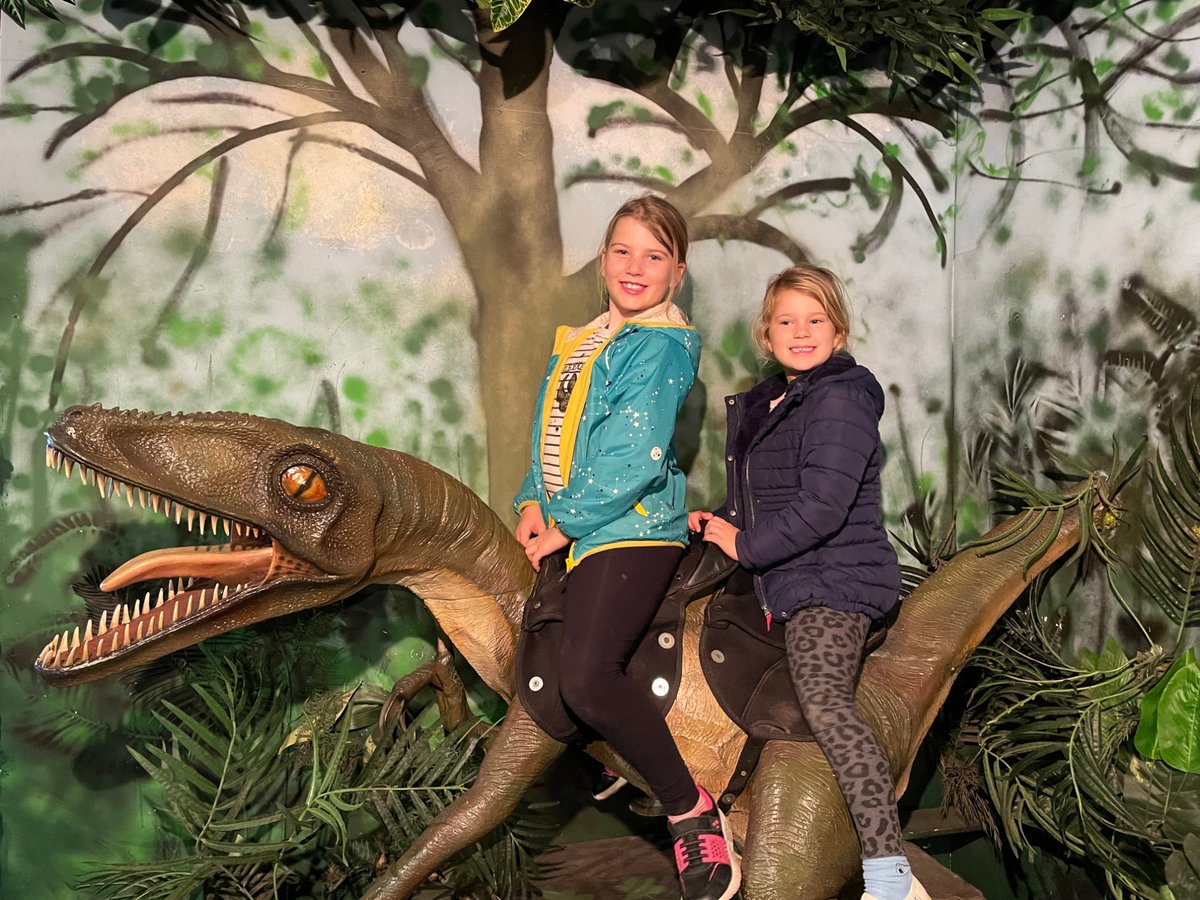 TinBoxTraveller's tweet photo. Do you have Dino fans in your house? If so then a visit to Torquay's Dinosaur World is a must. It’s a small indoor attraction in South Devon that’s ideal for fact hungry kids and wet day fun. Find out more: https://t.co/jrdB7sO2Hn #Devonattractions #Devonwithkids #daysoutinDevon https://t.co/FXIwas53FI