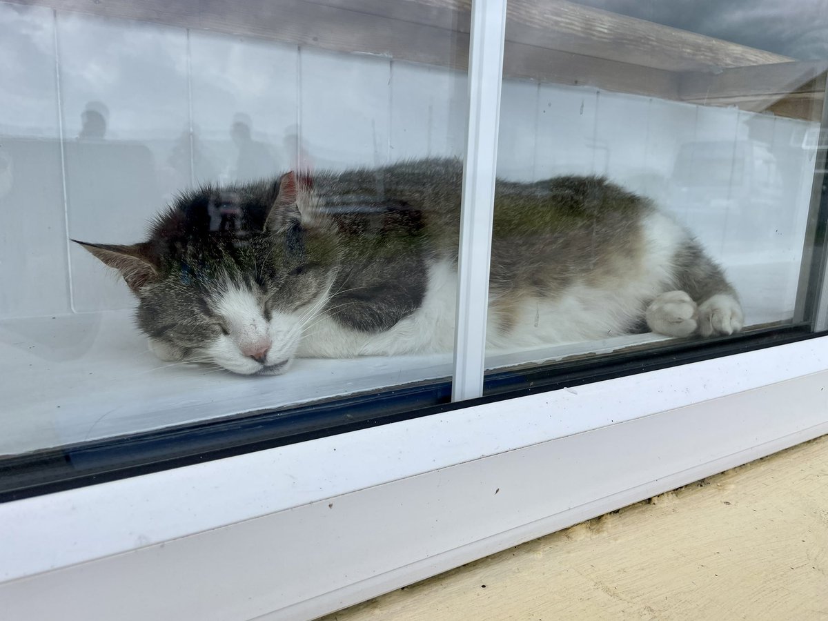 Full credit to <a href="/BantryBayTours/">Bantry Bay Charters</a> for a cracking few hours around one of Ireland’s most beautiful bays!
#wildatlanticway #bantry