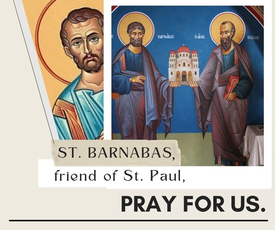 Christ the King Omaha tweet media