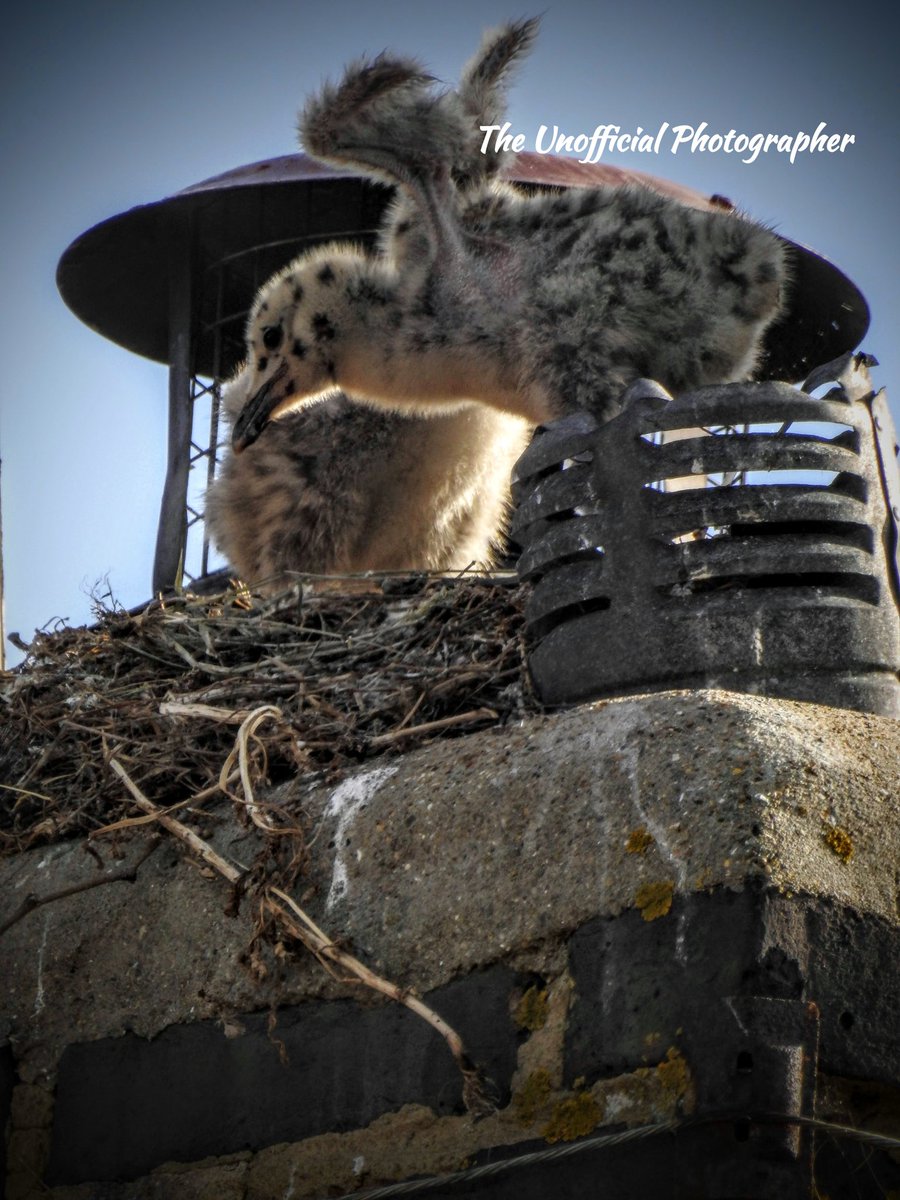 The Unofficial Photographer tweet media