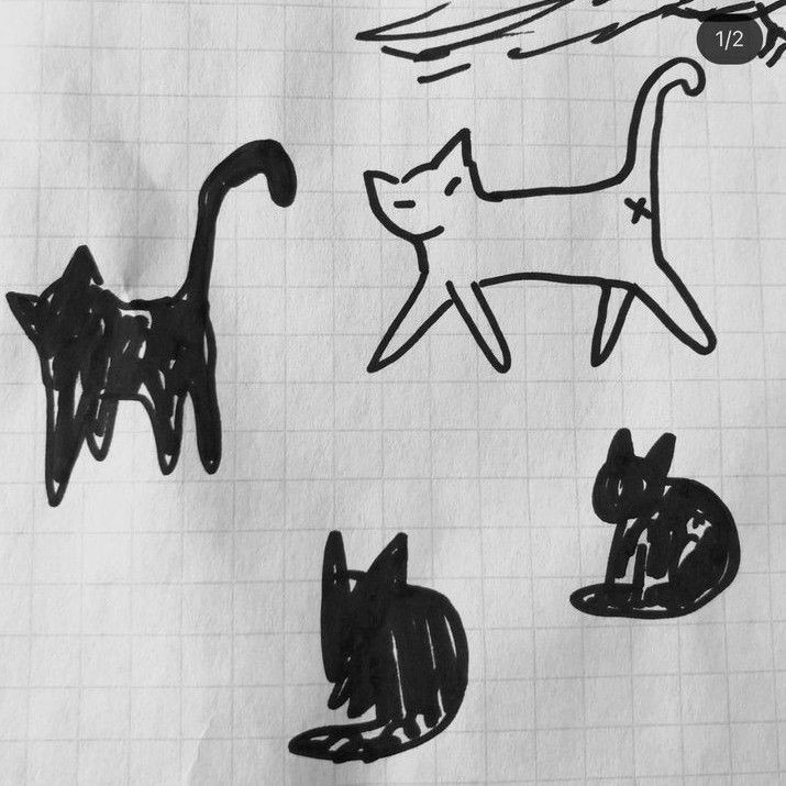 No sería el mejor bestie cola del #𝙱rightー𝙰ru si no estuviera en su concierto para recordarle que a pesar de ser un viejito arrugado yo estaré en sus eventos para darle todito mi amor. Felicidades, mi #𝚂py夜𝙰kise pokeño.

𝙱lack - 𝒄at ⋆ #𝐈KARIS 🐈‍⬛!