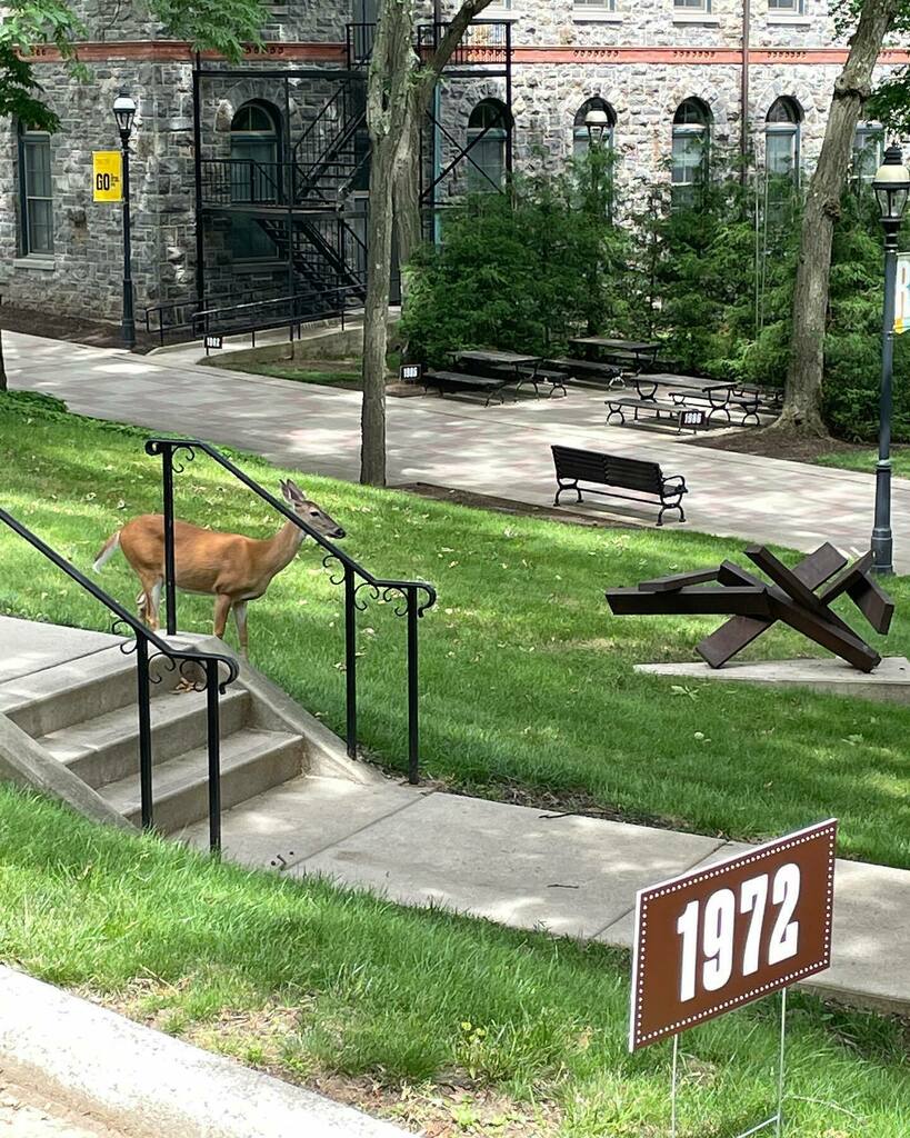 Reunion parade leader! #lehighreunion instagr.am/p/CerblehJFKA/