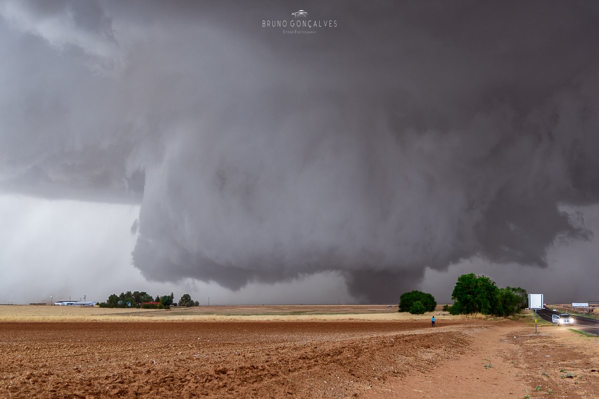 Bruno Gonçalves tweet media