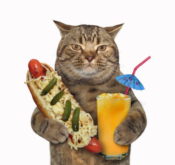 MrScribbles3's tweet photo. #theweekend #hotdogparty #groovy https://t.co/kS7f62tWd3