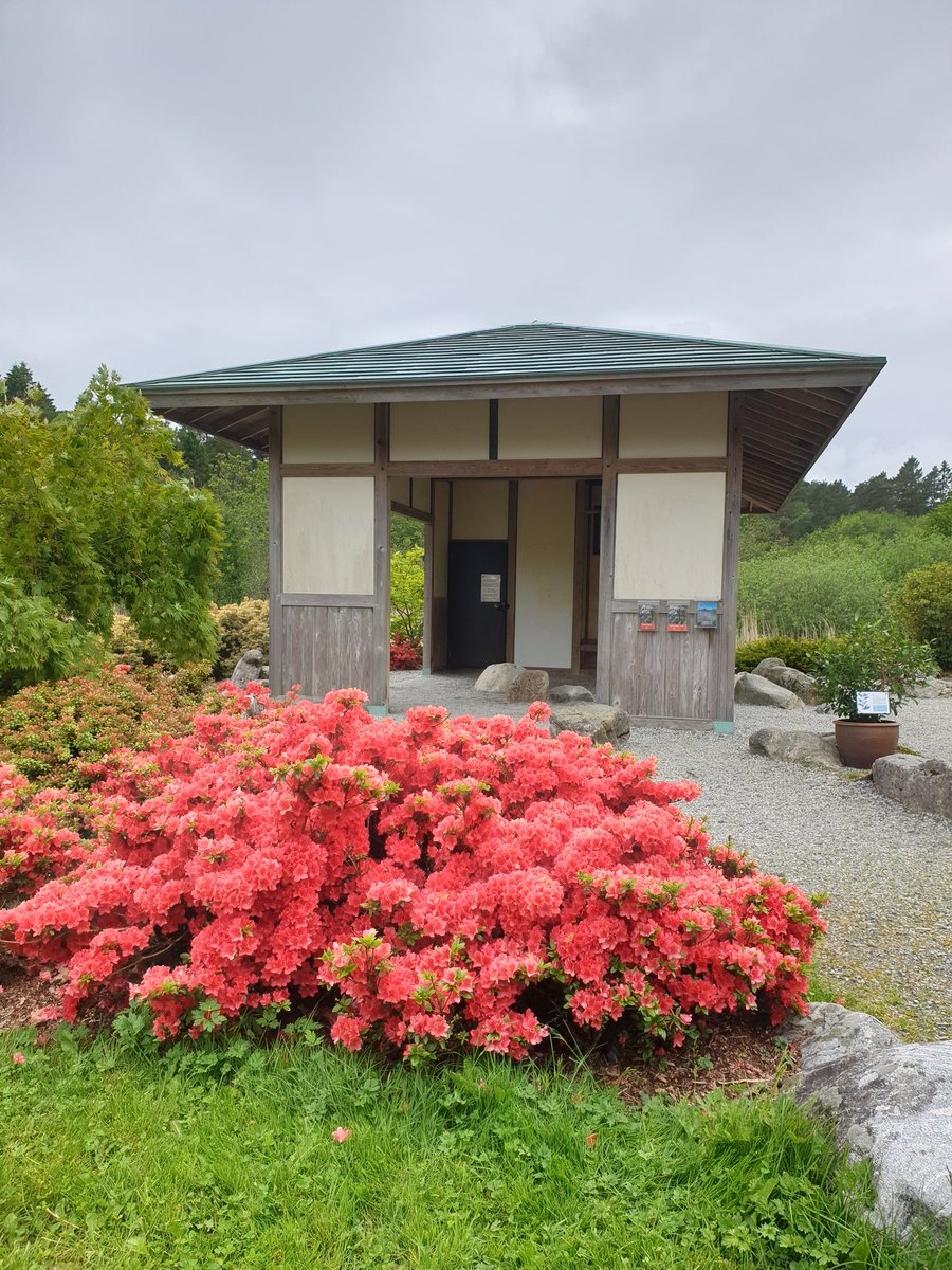ToppyCute's tweet photo. Bergen Botanical Garden💖 https://t.co/oTmaFwC5hD