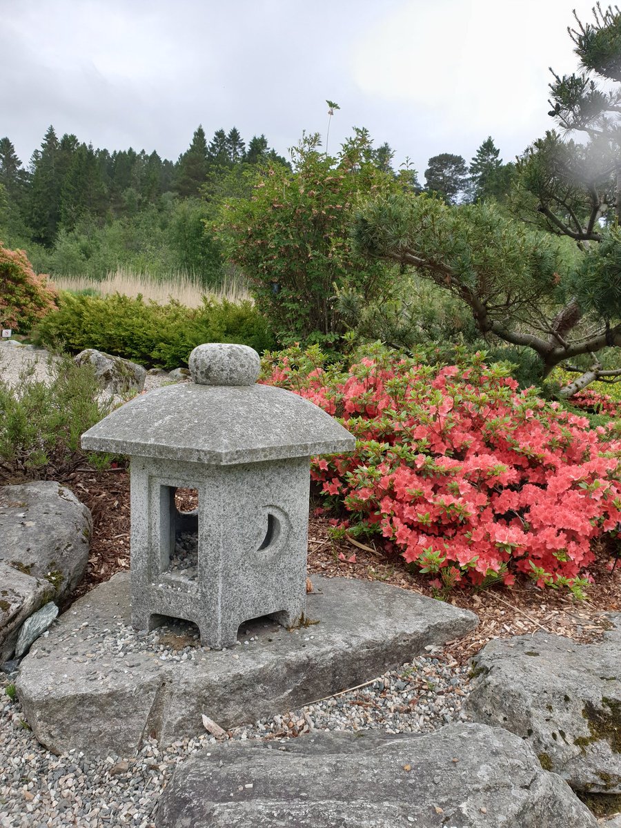 ToppyCute's tweet photo. Bergen Botanical Garden💖 https://t.co/oTmaFwC5hD
