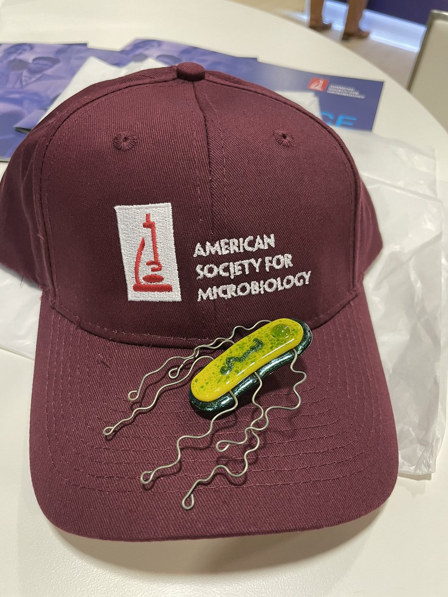 markowenmartin's tweet photo. I had to get just a little #MicrobialSwag: new cap from @ASMicrobiology and lapel pin from the endlessly fabulous @trilobiteglass ! https://t.co/bA9yZRT6AN