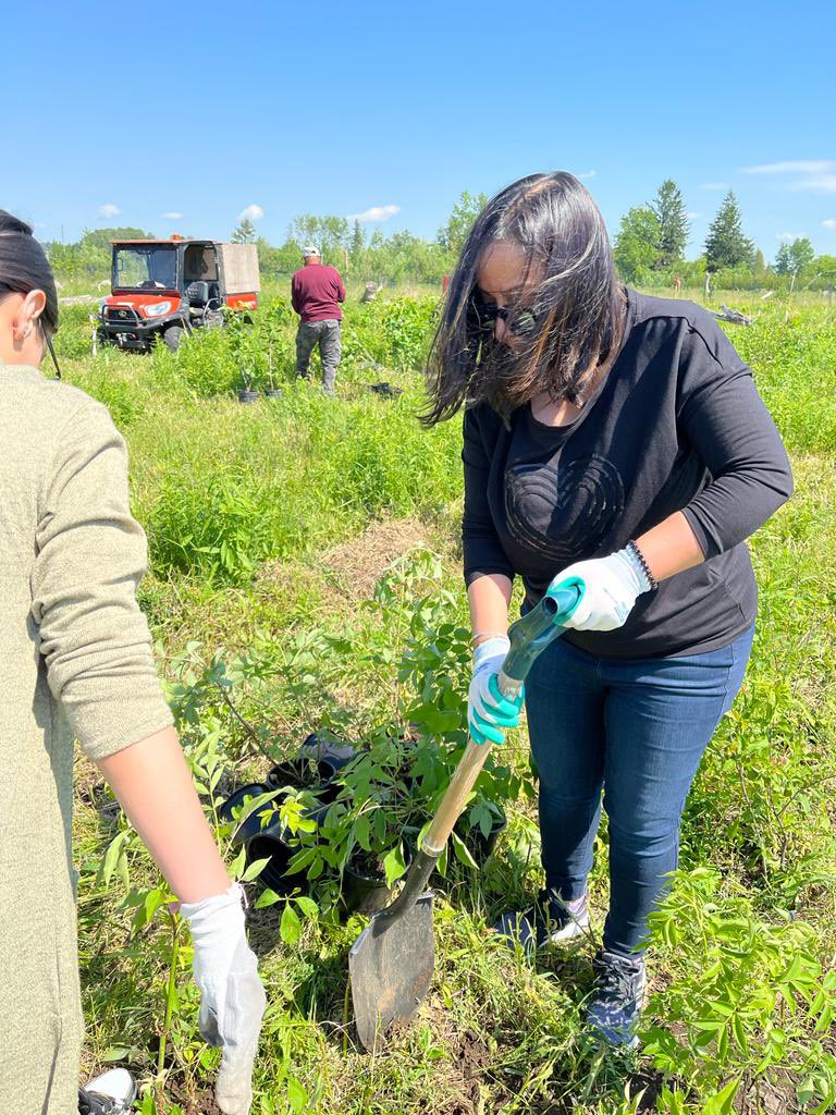 EcosikhC's tweet photo. 500 trees planted by @EcosikhC in @CityofPickering in the Brocklands area.  Part of a @TRCA_HQ restoration initiative to plant 8000 in the area by end of year. https://t.co/KrCw6oVdeJ