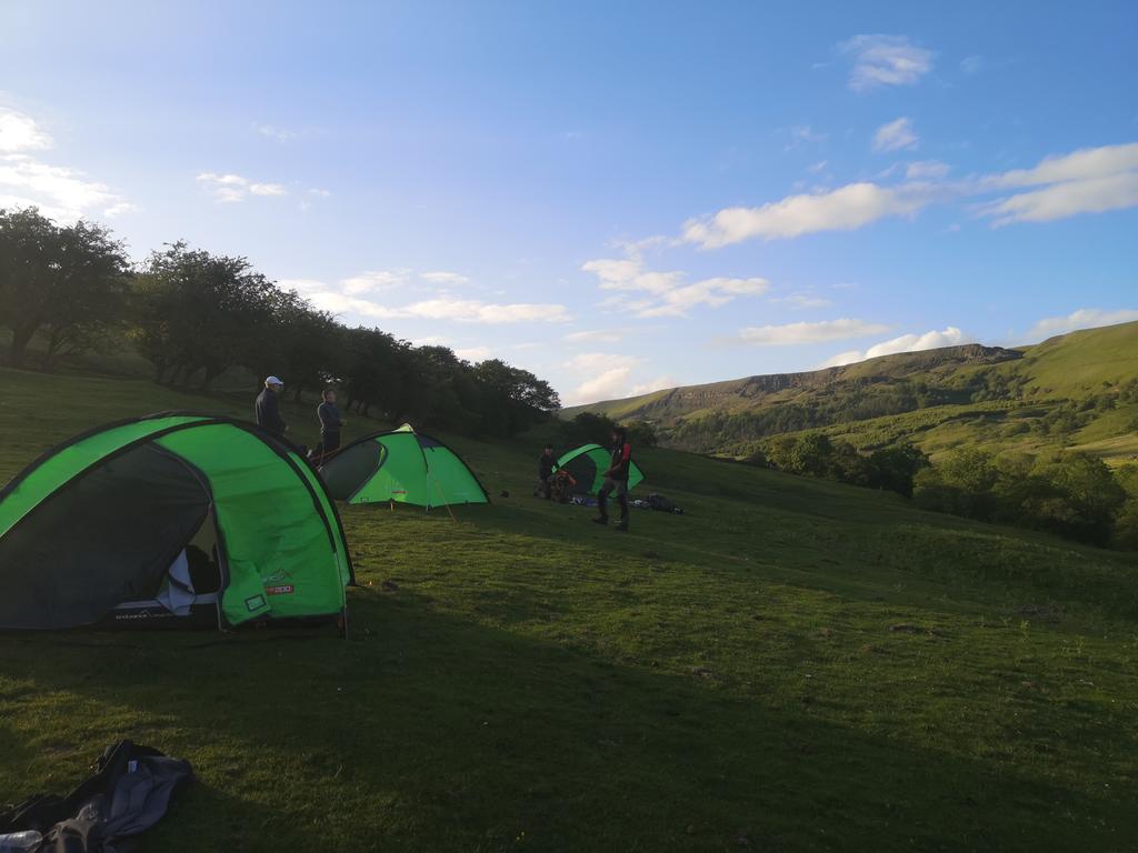 Amy Lemon tweet media