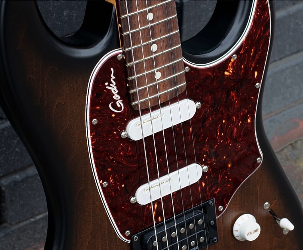 LaceMusic's tweet photo. The new @godin_guitars Session R-HT PRO featuring 2 of our Lace Sensor Hot Gold Pickups 🔥🔥🎸
#LacePickups #LaceSensors #ComingSoon #ReThinkYourTone #LaceMusic #Godin #GodinGuitars #GodinGuitars #SessionRHTPro #NewGuitar https://t.co/kCMsTYYAZ0