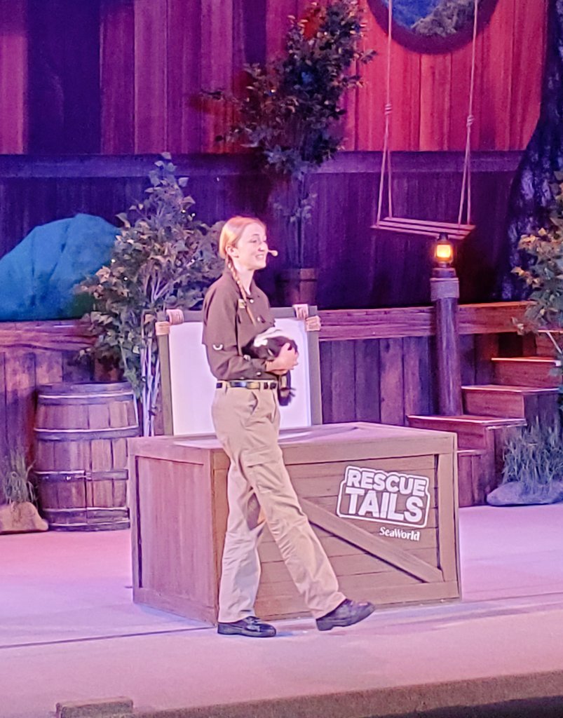 Fun Learning Life tweet media