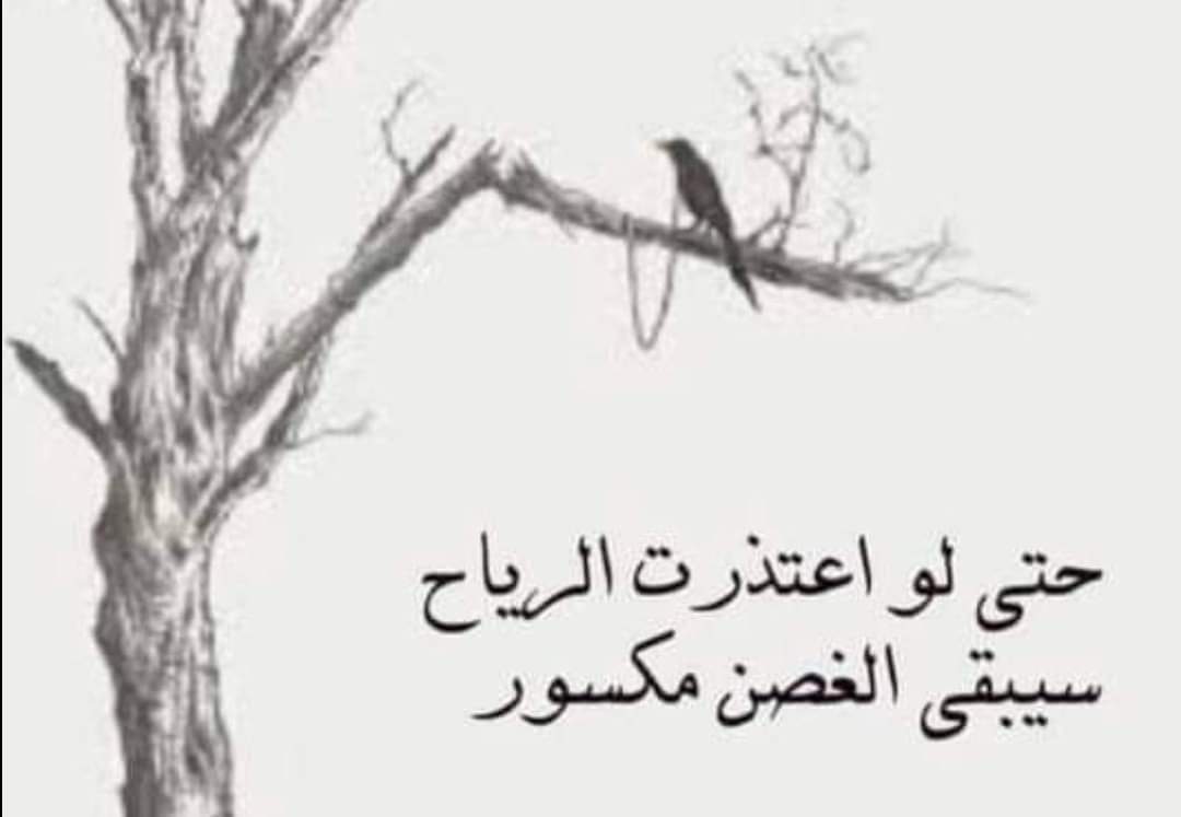 Dr. Yonis Ajeel (@yonisajeel) on Twitter photo 