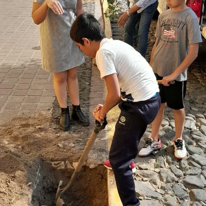 gustavomaciasz's tweet photo. Hoy amanecimos plantando arbolitos en #Tequila, continuando con la #ReforestaciónUrbana que implementó el @GobiernoTequila que preside #PonchoMagallanes. 

Esta acción es permanente durante los sábados, quien guste participar es bienvenido. #FelizSábado @diputadospan https://t.co/NuiESQP0ab