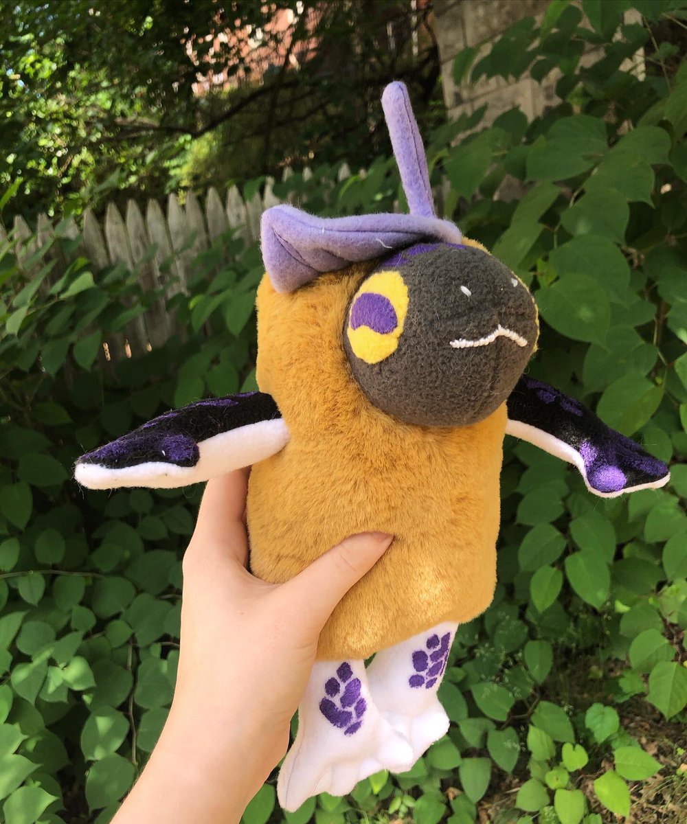 asmallfrogart's tweet photo. A non-binary frog named Ellomy #frog #frogs #frogPlushie #trans #gayFrog https://t.co/uQ1xAGj4JY