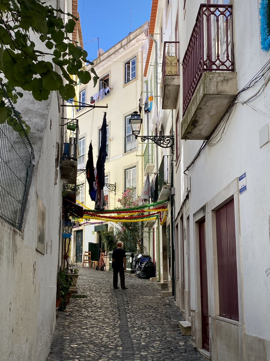 Armanda De Andrade 🌻 tweet media