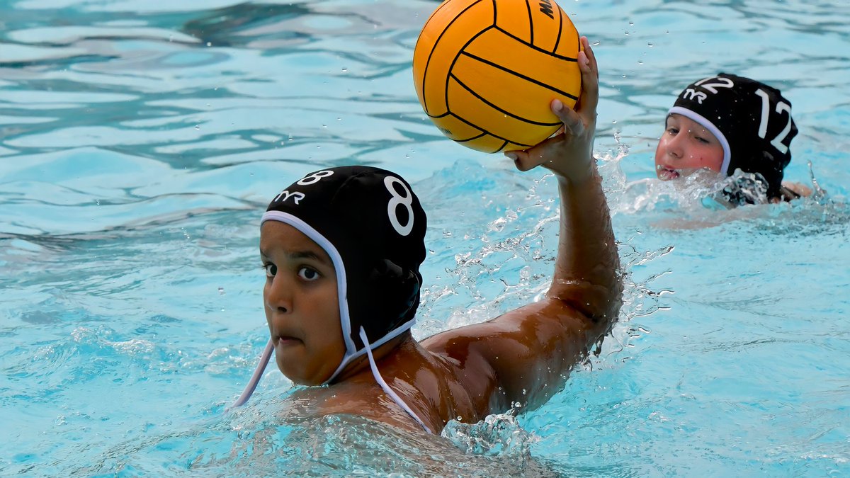 3 in a row! Let's keep it going!

@OaksRec <a href="/WVHSPolo/">WaubonsieValleyWaterPolo</a> <a href="/WVBoysWaterPolo/">WVHS Boys Water Polo</a> @NSSWPL