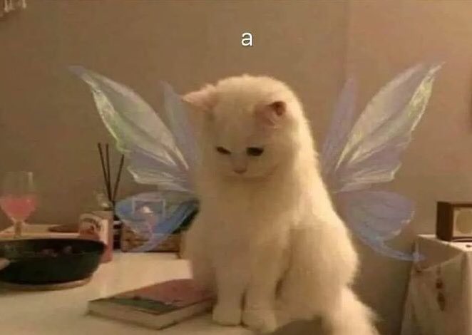 luuciatombillaa's tweet image. la mariposa de mi estómago viendo como me dejaste en visto