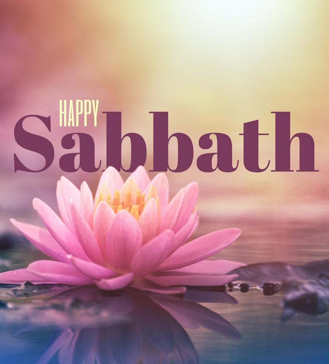 acadblea's tweet photo. Feliz Sábado! E uma feliz semana que em breve se iniciará!

#ablea #academiabrasileiradeletras #brasil #brazil #love #instagood #photooftheday #style #religiao #literatura  #quotes #frases #deus #céu #jesus #escrituras #escritores #imortais https://t.co/1YxSbjiLhQ