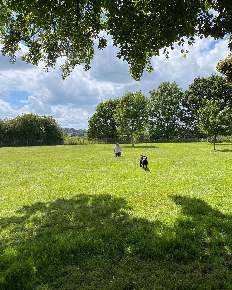 hearingdoghotel's tweet photo. What an afternoon! 🥰 
We had the honour of seeing Vanta again and meeting her lovely new recipient/family.

Vanta has absolutely fallen on her feet and is well and truly spoilt! 🥰 

Why do we volunteer for @hearingdogs ? This is why! 💜 https://t.co/QoIj6eBrHV