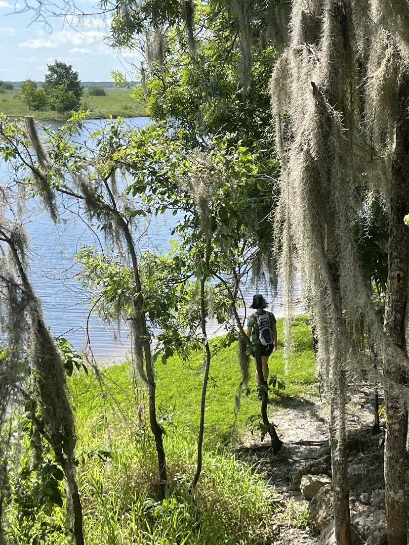 Happy #NationalGetOutdoorsDay 👣. #OptOutside #getoutside #lovefl #nature #goplay #NaturePhotography #outdoors #trees #trails #floridatrails #TwitterNatureCommunity #foresttherapy #lakeharneywildernessarea