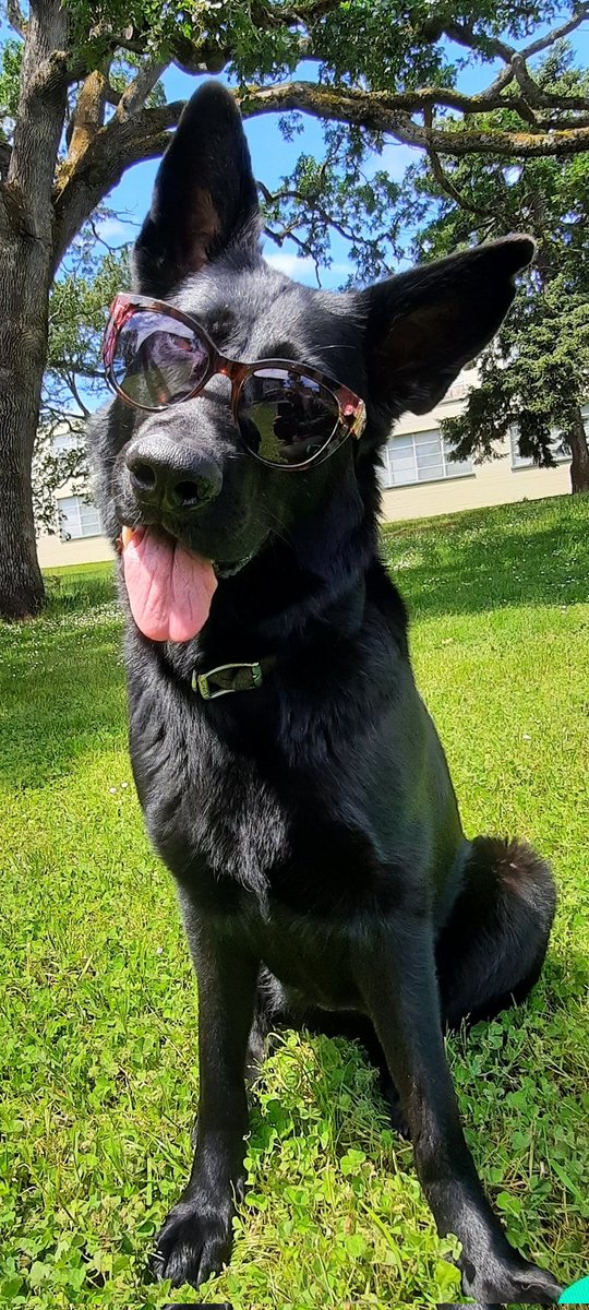 ⒼⒻ Friends call me Ⓖ tweet media