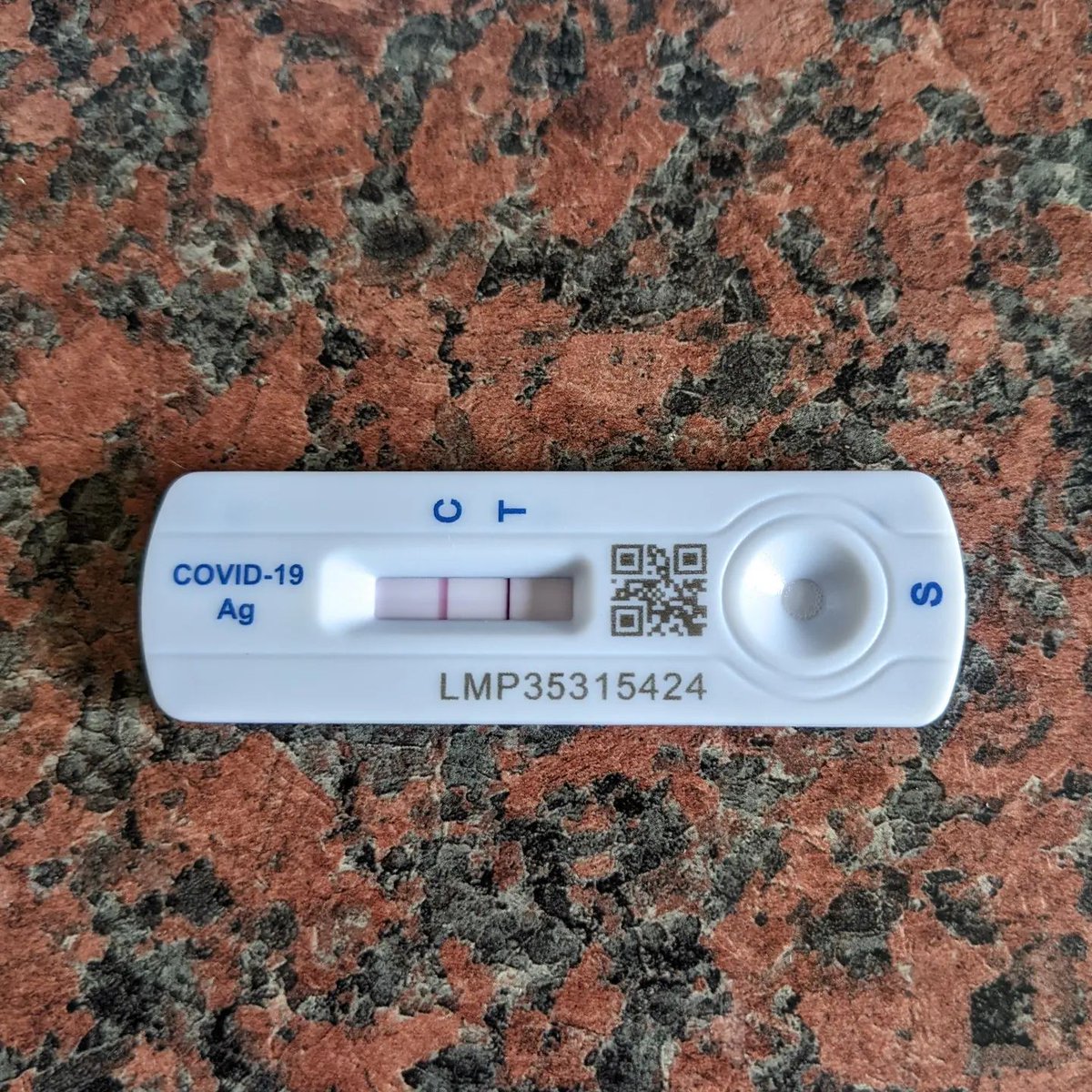 StretchBodyMind's tweet photo. Argh! I finally caught Covid! Not only that but baby Alisdair has it too. 😭

The worst thing {{for me}} is that when I try to talk I end up coughing ... so I've been silenced!

The best thing {{for you}} is that because I…

📸 https://t.co/88wEkVwKFy via https://t.co/ith97GB3zC https://t.co/StkXgdbh5H