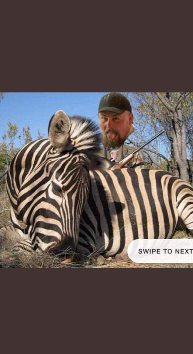 Hang it in the Louvre 🐶💙