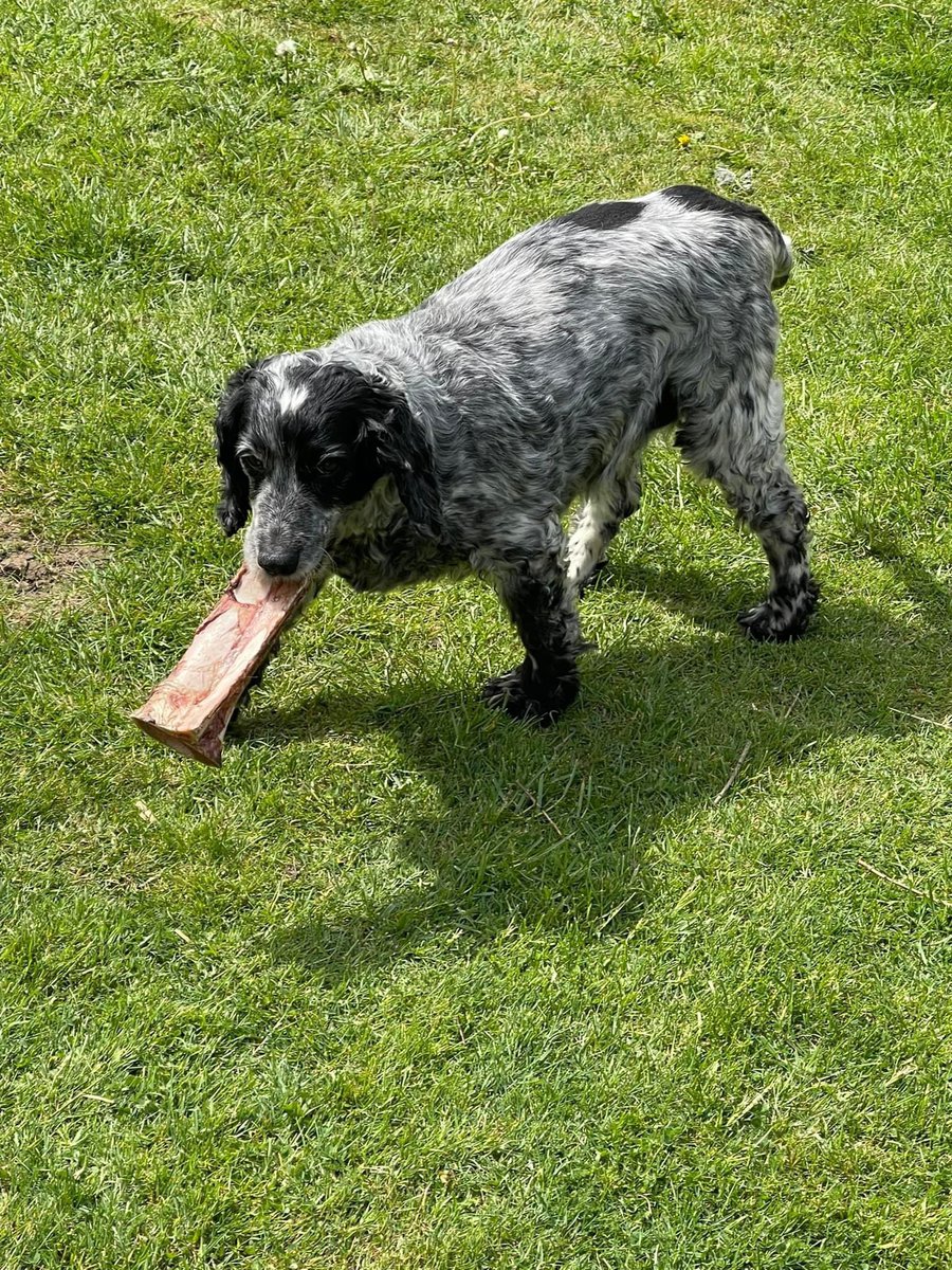 Sarah Davis tweet media