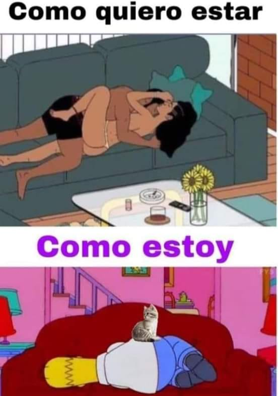 _onerolita's tweet image. 