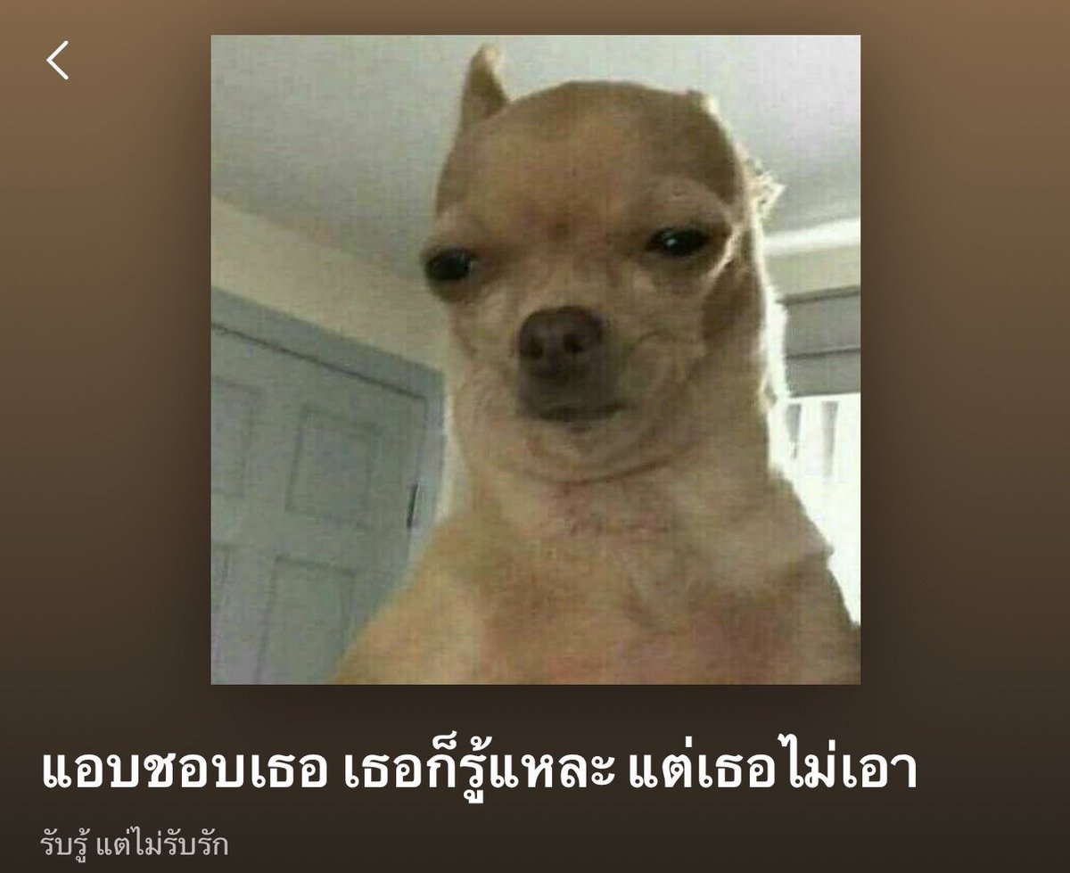 <a href="/yipenbot/">yì close</a>