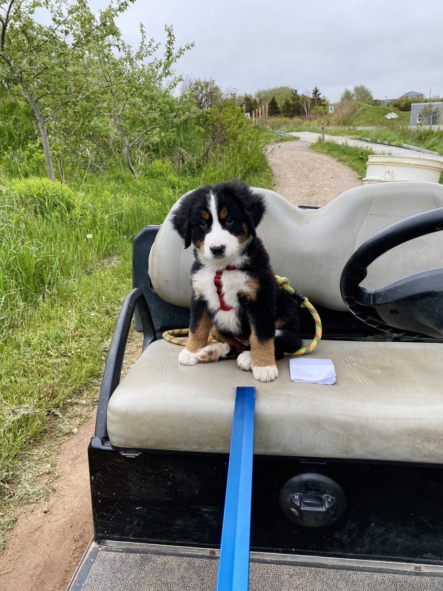 Nichole Parker tweet media