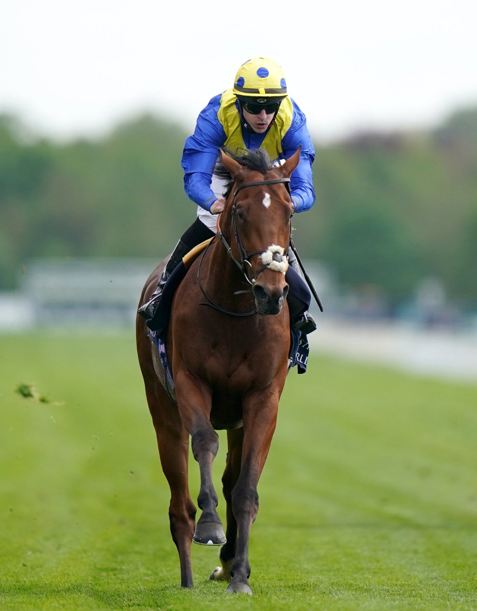 AtTheRaces's tweet photo. Desert Crown bolts up in The Derby! https://t.co/QVCB7uVMys