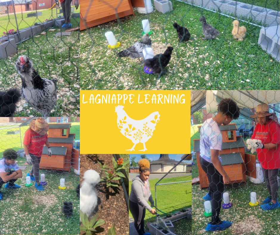 STEM_WASHINGTON's tweet photo. Lagniappe Learning is continuing to thrive thanks to our volunteers. Visit https://t.co/mCx67AJyBB for more information on our outdoor learning lab or volunteering.
#stemchicks #stemeducation #community https://t.co/kYlLmWxRzV